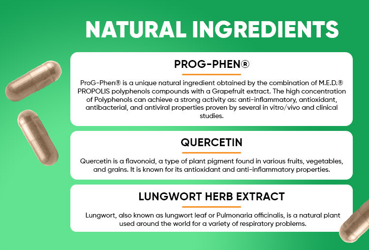 Herboxa Lungwort ingredients: Prog-phen®, Quercetin, Lungwort herb extract