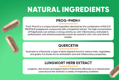 Herboxa Lungwort ingredients: Prog-phen®, Quercetin, Lungwort herb extract
